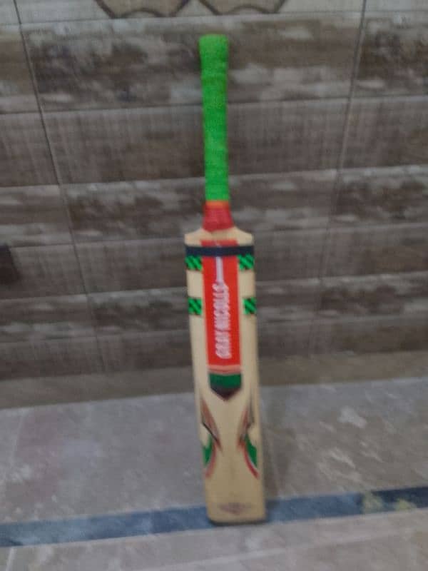 cricket bat 1