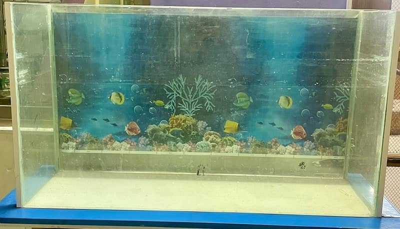 fish tank for sale urgent 0