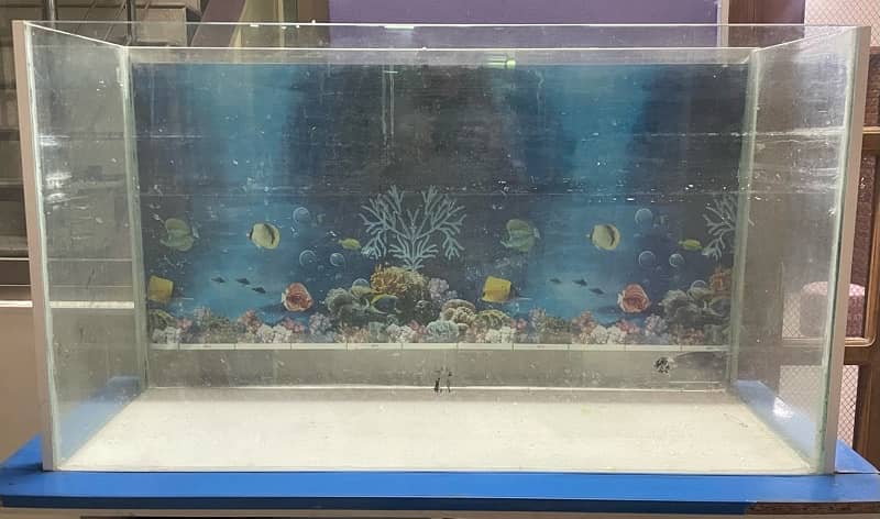 fish tank for sale urgent 1