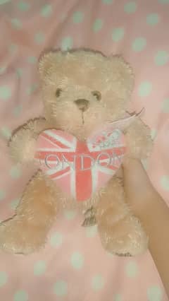 Teddy