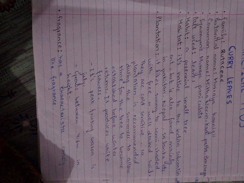 handwriting assignment work 0