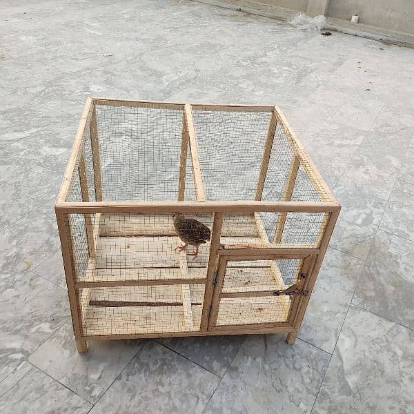 Birds Handmade Cages Available 2