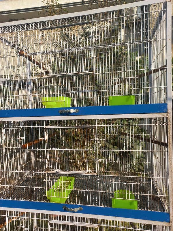 Huge Cage for birds 1