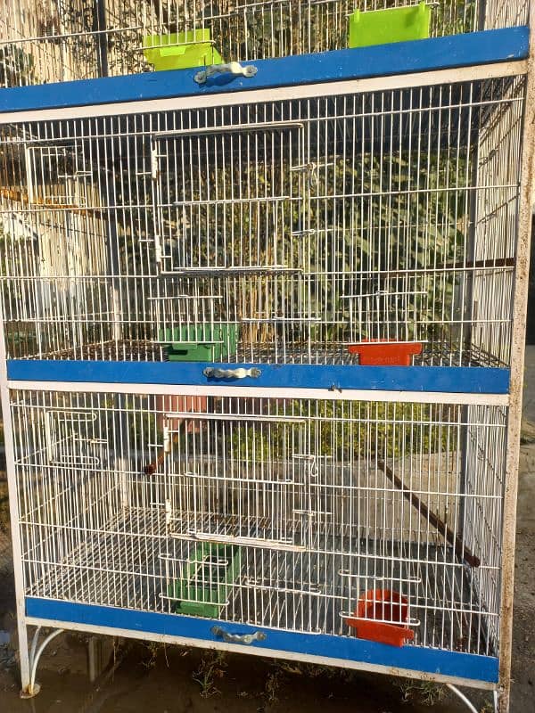 Huge Cage for birds 2