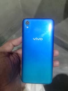 vivo