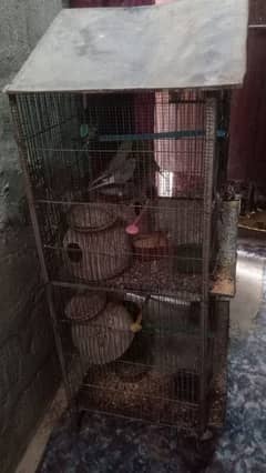 cage for sale urgent