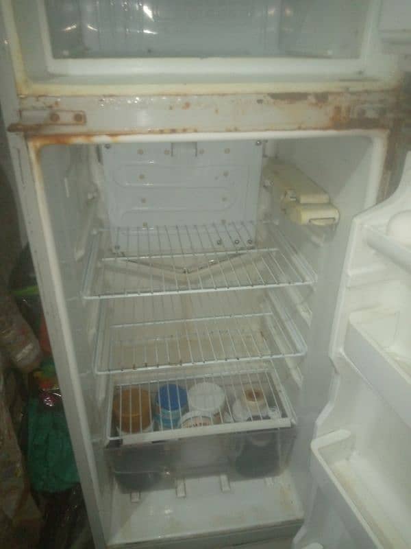 fridge 2