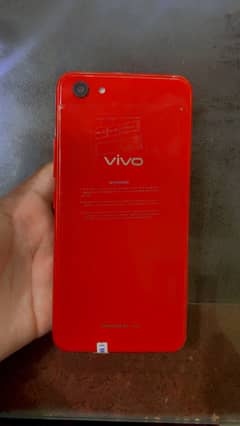 Vivo