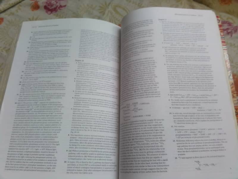 Lehninger Principles of Biochemistry 5th edition by Nelson & cox 3