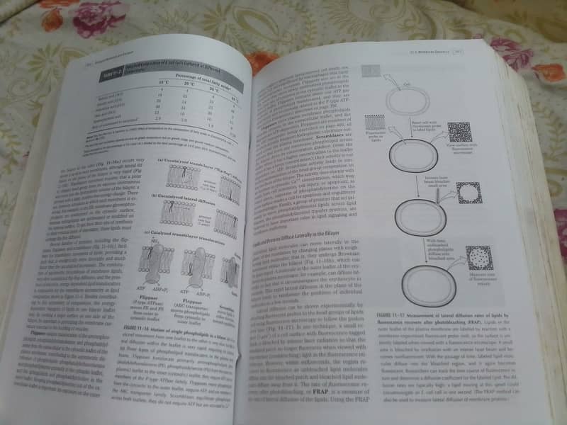 Lehninger Principles of Biochemistry 5th edition by Nelson & cox 9