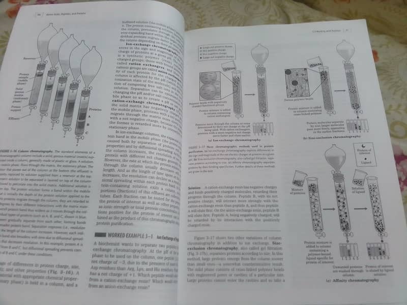 Lehninger Principles of Biochemistry 5th edition by Nelson & cox 13