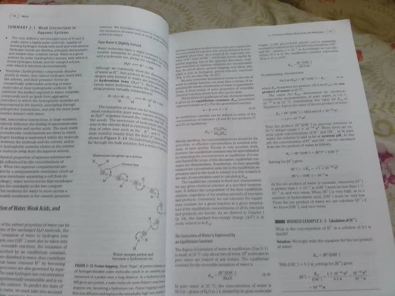 Lehninger Principles of Biochemistry 5th edition by Nelson & cox 14