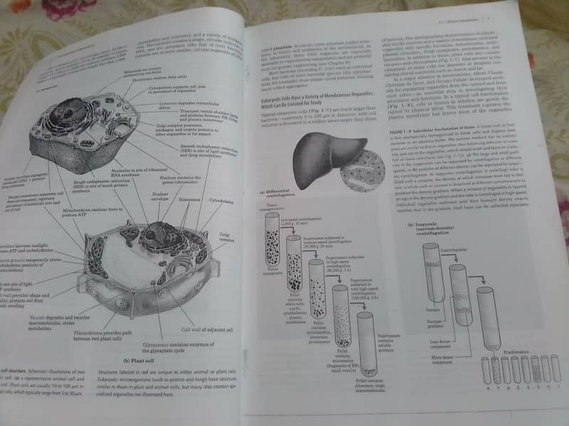 Lehninger Principles of Biochemistry 5th edition by Nelson & cox 15