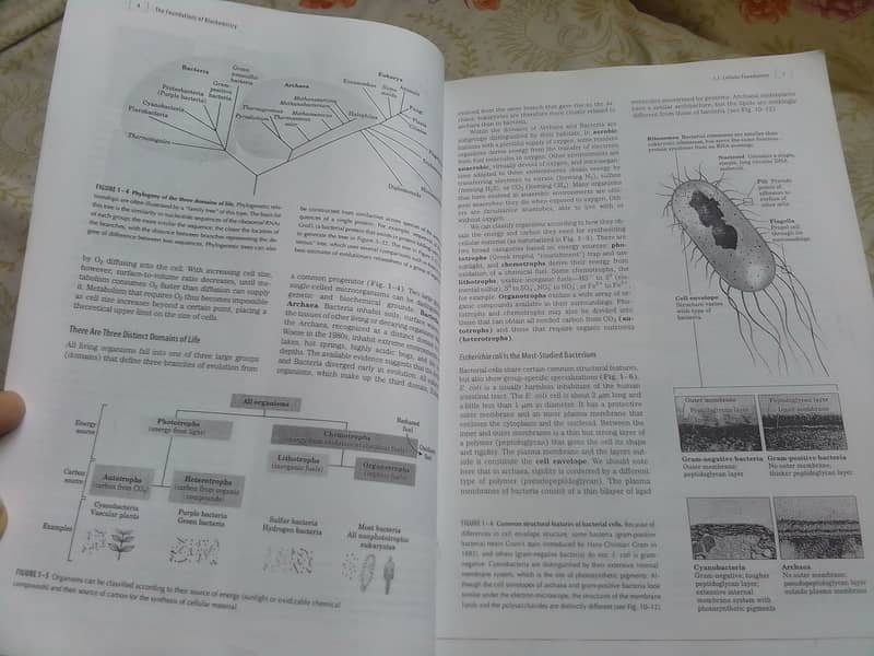 Lehninger Principles of Biochemistry 5th edition by Nelson & cox 16