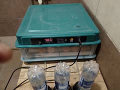 60 Eggs AC/DC Incubator full Automatic 0