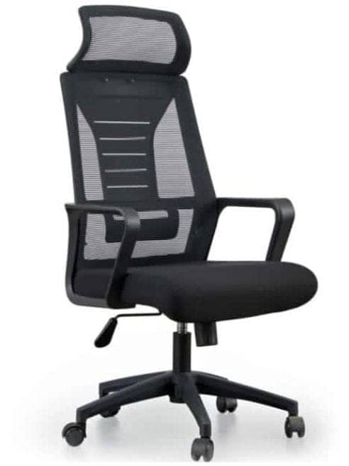 Computer Chair/ Executive Chair/ Office Chair/ Visitor Chair 5