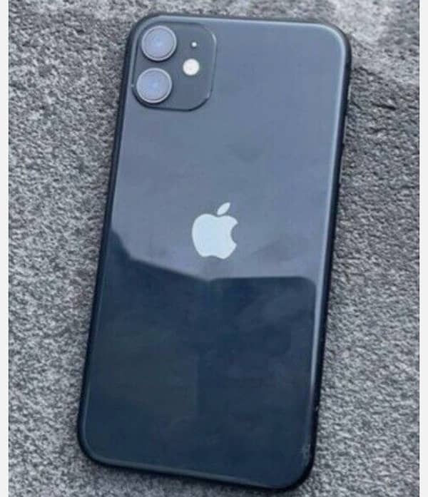 iPhone 11 waterpak 0