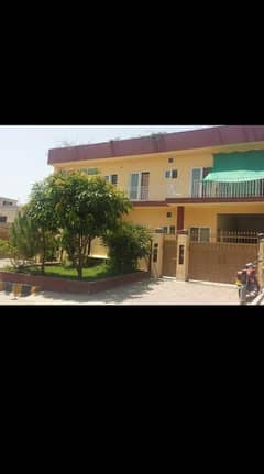 need female for guest house