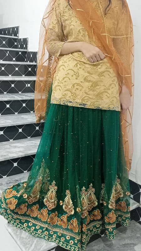 3 piece dress ( Lehnga, Blouse, Dupatta) for sale 2