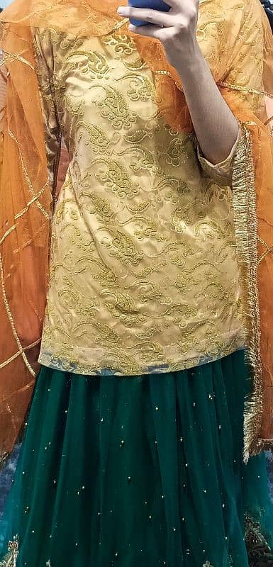 3 piece dress ( Lehnga, Blouse, Dupatta) for sale 3