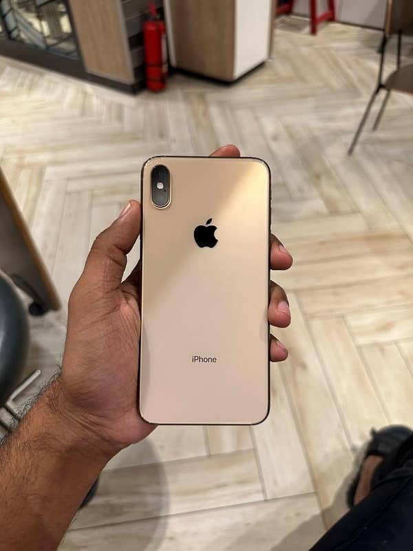 XS Max 1