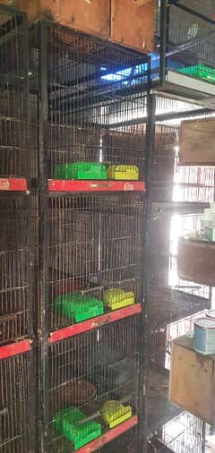 Birds Cage For Sale 0