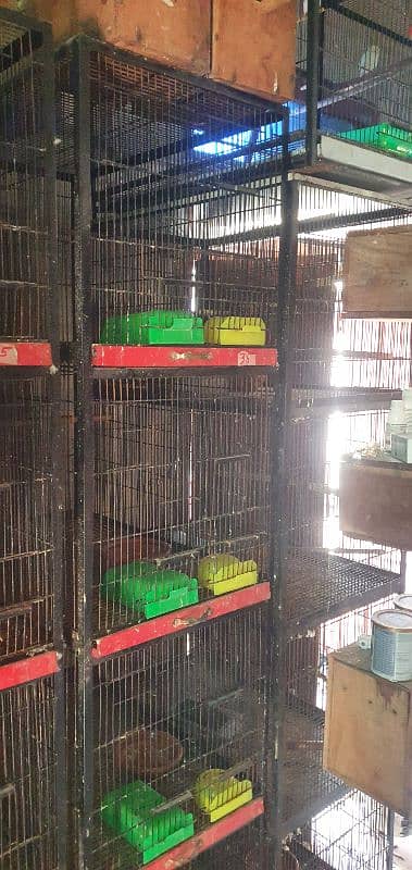 Birds Cage For Sale 0