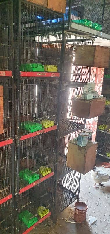 Birds Cage For Sale 1