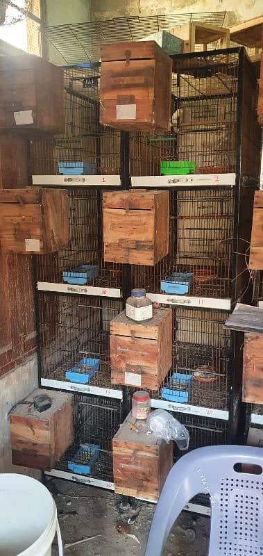 Birds Cage For Sale 3