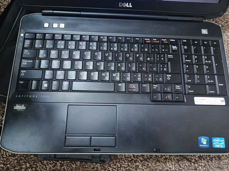 Dell Bilkull New Han 0