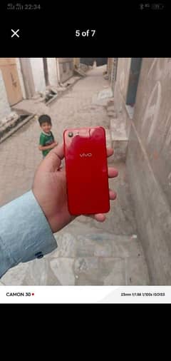 vivo