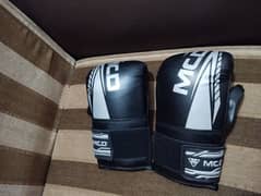 New boxing bag with complete accessories and boxing gloves (unfilled)