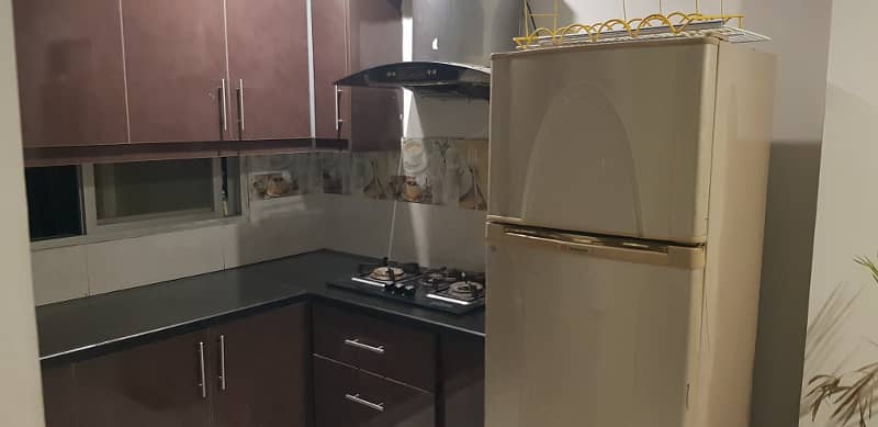 Vip furnished apartment daily basis for rent 1