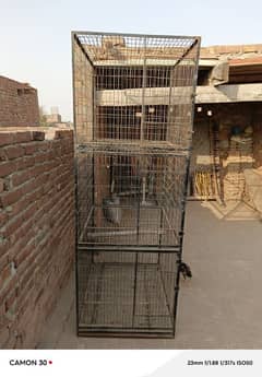 Cage for parrot