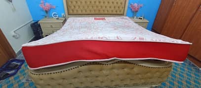 8 inch Master Molty Foam Queen Size Double Bed Mattress 10Year Waranty