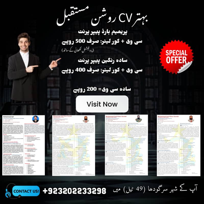 Get Professional CV in Reasonable Price 0