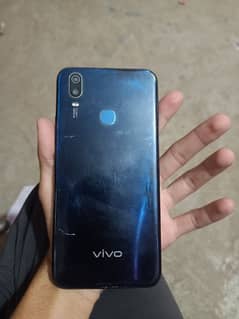 vivo