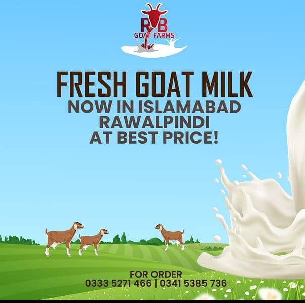 Fresh Pure Goat Milk for Sale in Islamabad 0