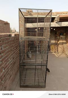 Cages for parrot Urgent sale