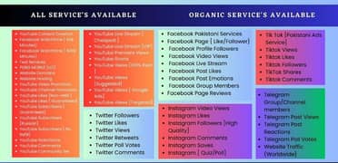 Social Media Services