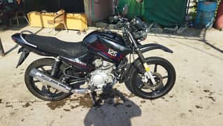 YAMAHA YBR 125/G 2023