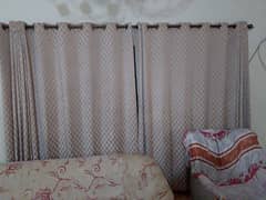 beautiful curtains(furniture)