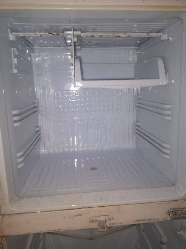 Pel Fridge 2