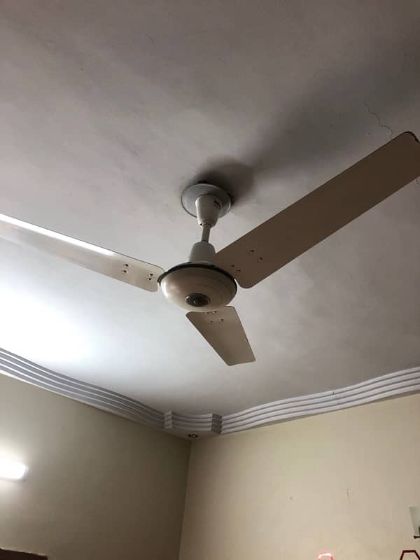 Ceiling fan for sale 1