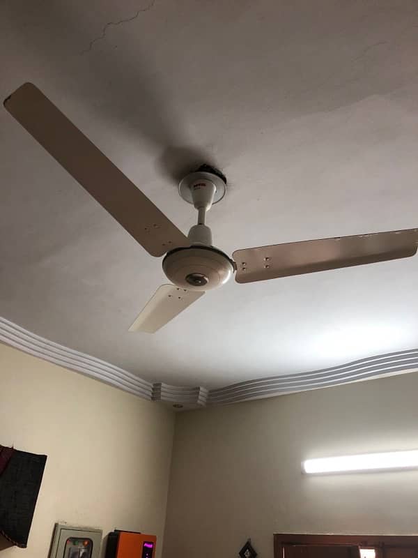 Ceiling fan for sale 3