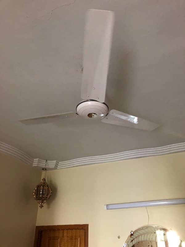 Ceiling fan for sale 5