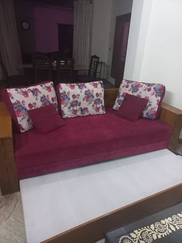 double sofa cum bed 1