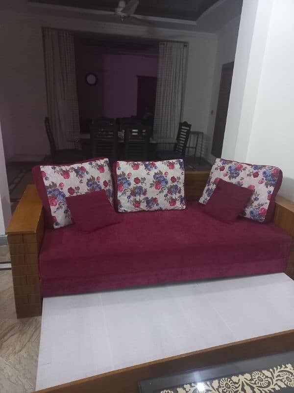 double sofa cum bed 2