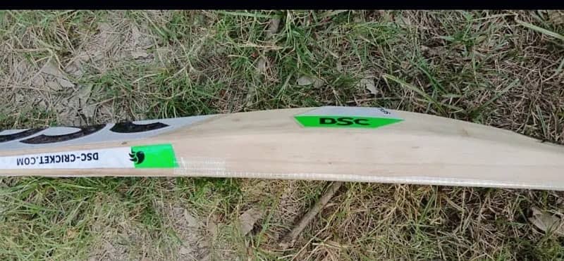 DSC pure English Willow hard ball cricket bat 0