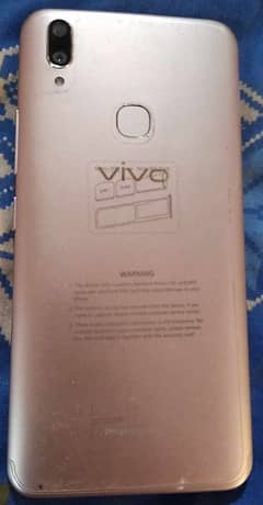 vivo